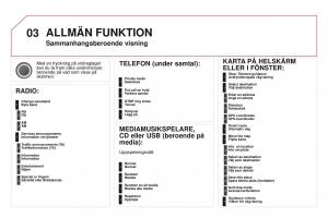 Citroen-DS3-instruktionsbok page 288 min