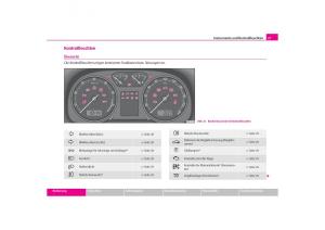 Skoda-Octavia-I-1-Handbuch page 28 min