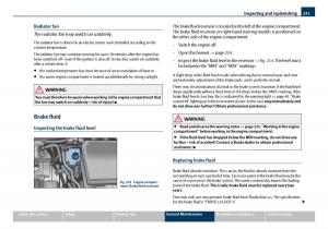 Skoda-Octavia-I-1-owners-manual page 232 min