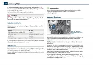 Skoda-Octavia-I-1-bruksanvisningen page 221 min