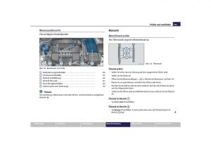 Skoda-Octavia-II-2-Handbuch page 146 min