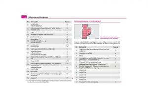 Skoda-Octavia-II-2-Handbuch page 177 min