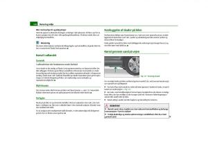 Skoda-Octavia-II-2-Bilens-instruktionsbog page 119 min