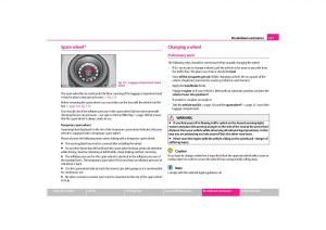 Skoda-Octavia-II-2-owners-manual page 218 min