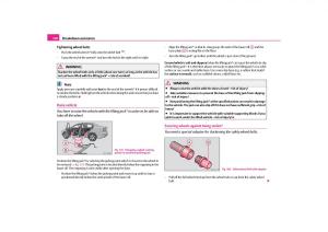 Skoda-Octavia-II-2-owners-manual page 221 min