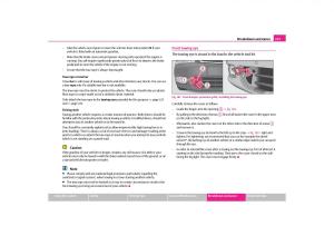 Skoda-Octavia-II-2-owners-manual page 224 min