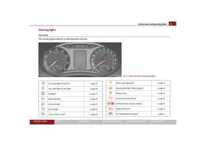 Skoda-Octavia-II-2-owners-manual page 28 min