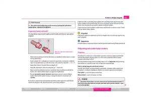 Skoda-Octavia-II-2-vlasnicko-uputstvo page 166 min