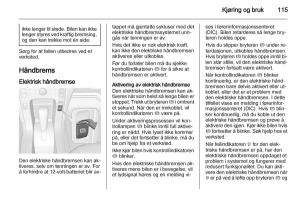 Opel-Ampera-bruksanvisningen page 117 min