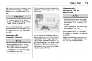 Opel-Ampera-bruksanvisningen page 147 min