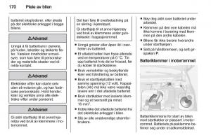 Opel-Ampera-bruksanvisningen page 172 min