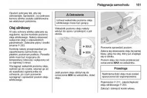 Opel-Ampera-instrukcja-obslugi page 163 min