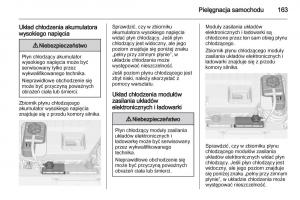 Opel-Ampera-instrukcja-obslugi page 165 min