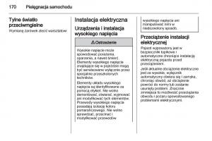 Opel-Ampera-instrukcja-obslugi page 172 min