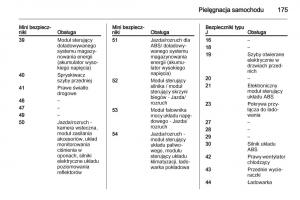 Opel-Ampera-instrukcja-obslugi page 177 min