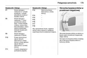 Opel-Ampera-instrukcja-obslugi page 181 min