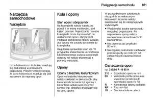 Opel-Ampera-instrukcja-obslugi page 183 min