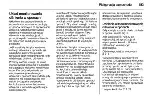 Opel-Ampera-instrukcja-obslugi page 185 min