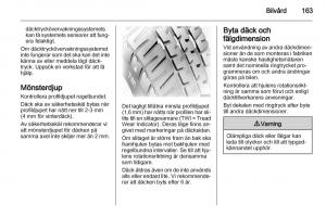 Opel-Ampera-instruktionsbok page 165 min