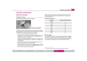 Skoda-Octavia-II-2-handleiding page 172 min