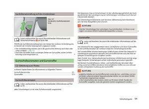 Skoda-Octavia-III-3-Handbuch page 173 min