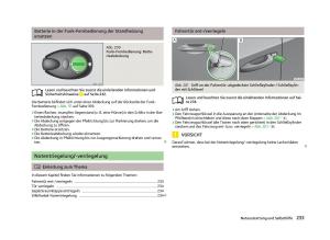 Skoda-Octavia-III-3-Handbuch page 235 min