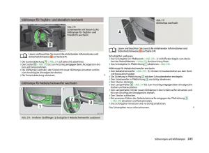 Skoda-Octavia-III-3-Handbuch page 245 min