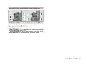 Skoda-Octavia-III-3-Handbuch page 249 min