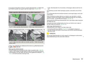 Skoda-Octavia-III-3-Bilens-instruktionsbog page 163 min