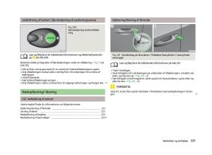 Skoda-Octavia-III-3-Bilens-instruktionsbog page 223 min