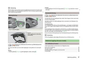 Skoda-Octavia-III-3-Bilens-instruktionsbog page 39 min