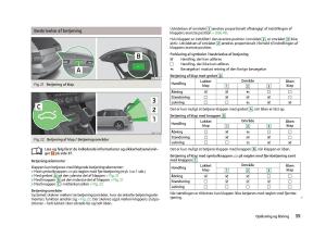 Skoda-Octavia-III-3-Bilens-instruktionsbog page 41 min