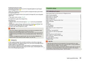 Skoda-Octavia-III-3-Bilens-instruktionsbog page 71 min