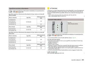 Skoda-Octavia-III-3-manuale-del-proprietario page 207 min