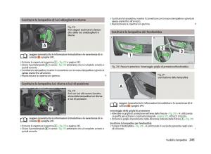 Skoda-Octavia-III-3-manuale-del-proprietario page 245 min