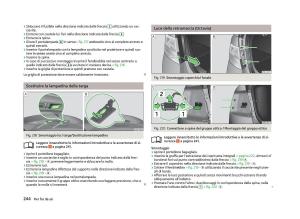 Skoda-Octavia-III-3-manuale-del-proprietario page 246 min