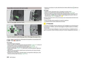 Skoda-Octavia-III-3-manuale-del-proprietario page 248 min