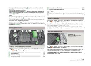 Skoda-Octavia-III-3-handleiding page 205 min