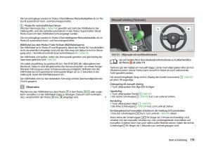 Skoda-Octavia-III-3-instruktionsbok page 121 min