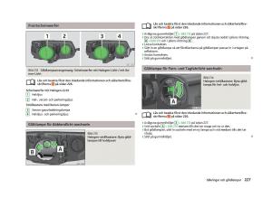 Skoda-Octavia-III-3-instruktionsbok page 229 min