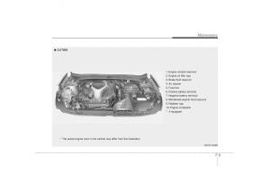 Hyundai-Sonata-VI-6-YF-i45-owners-manual page 319 min