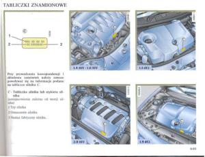 Renault-Megane-II-2-instrukcja-obslugi page 211 min