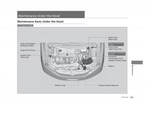 Honda-Civic-IX-9-owners-manual page 252 min