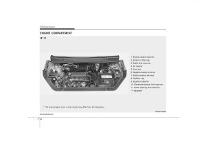 KIA-Soul-I-1-owners-manual page 245 min