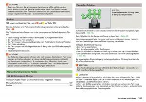 Skoda-Rapid-Handbuch page 109 min