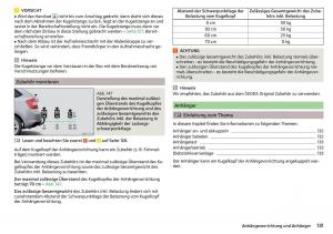 Skoda-Rapid-Handbuch page 133 min