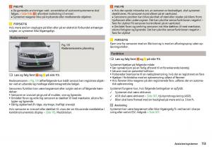 Skoda-Rapid-Bilens-instruktionsbog page 115 min