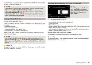 Skoda-Rapid-Bilens-instruktionsbog page 119 min