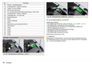 Skoda-Rapid-Bilens-instruktionsbog page 174 min