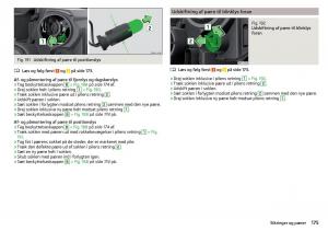 Skoda-Rapid-Bilens-instruktionsbog page 177 min